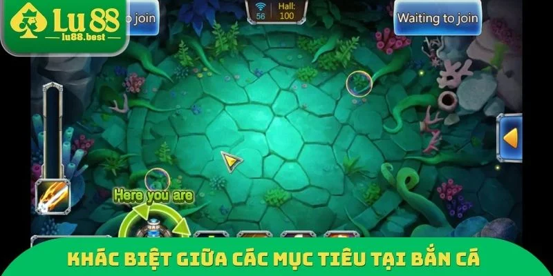 Khác biệt giữa các mục tiêu tại bắn cá đổi thưởng LU88